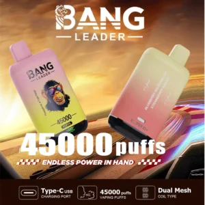 Bang Leader 45000 puffs