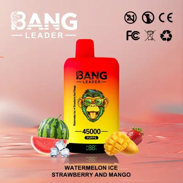 Bang Leader 45000 puffs - Image 2