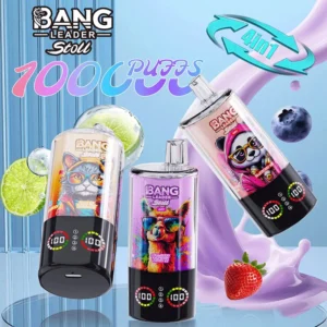 Bang Leader Stoll 100K Puffs Vape
