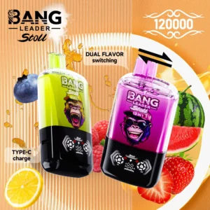 Bang Leader Stoll 120K  puff  vape